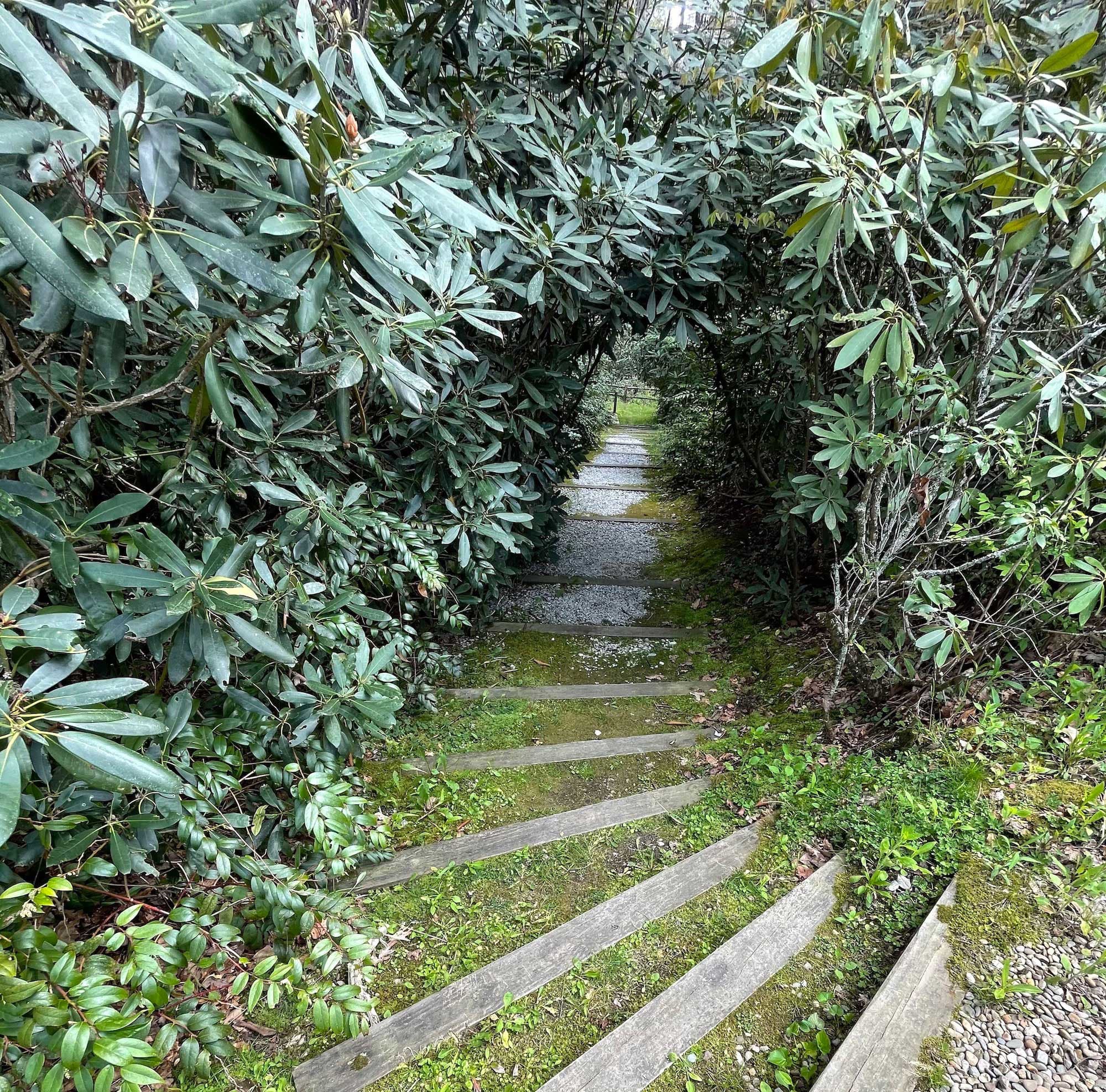Half-Mile Farm Walking Trail